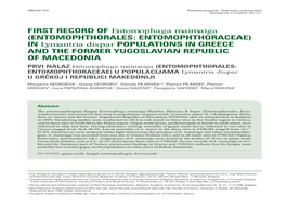 Entomophthorales: Entomophthoraceae