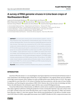 A Survey of RNA Genome Viruses in Lima Bean Crops of Northeastern