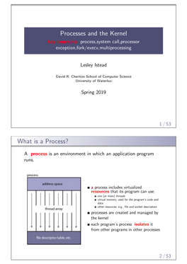 Processes and the Kernel Key Concepts: Process,System Call,Processor Exception,Fork/Execv,Multiprocessing