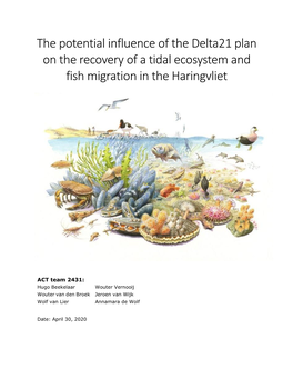 The Potential Influence of the Delta21 Plan on the Recovery of a Tidal Ecosystem and Fish Migration in the Haringvliet