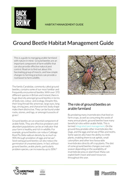 Ground Beetle Habitat Management Guide
