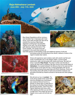 Raja-Halmehera-Lembeh June 29Th - July 11Th, 2020