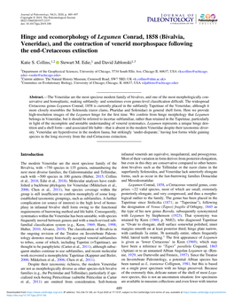 Hinge and Ecomorphology of Legumen Conrad, 1858 (Bivalvia, Veneridae), and the Contraction of Venerid Morphospace Following the End-Cretaceous Extinction