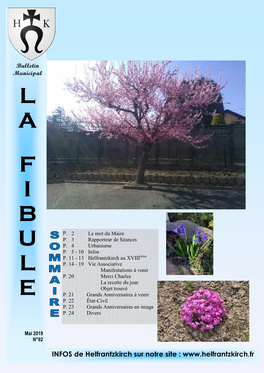 Fibule Mai 2019.Pub