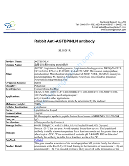 Rabbit Anti-AGTBP/NLN Antibody-SL19281R
