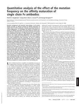 Quantitative Analysis of the Effect of the Mutation Frequency on the Affinity Maturation of Single Chain Fv Antibodies