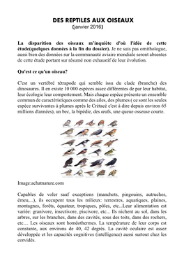 DES REPTILES AUX OISEAUX (Janvier 2016)