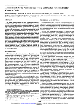 Association of Bovine Papillomavirus Type 2 and Bracken Fern with Bladder Cancer in Cattle