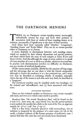 The Dartmoor Menhirs