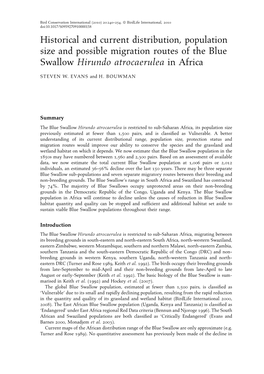Historical and Current Distribution, Population Size and Possible Migration Routes of the Blue Swallow Hirundo Atrocaerulea in Africa