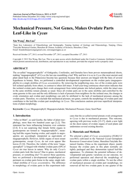 Mechanical Pressure, Not Genes, Makes Ovulate Parts Leaf-Like in Cycas