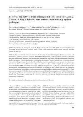 Bacterial Endophytes from Horseradish (Armoracia Rusticana G