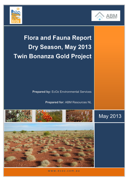 Twin Bonanza Gold Project