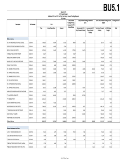 2019 Capital Budget Adj for Carry Forward Funding