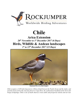 Arica Extension Birds, Wildlife & Andean Landscapes