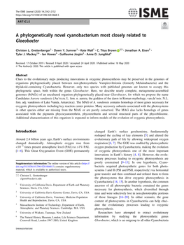 A Phylogenetically Novel Cyanobacterium Most Closely Related to Gloeobacter