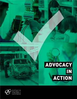 Advocacy in Action Executive Summary