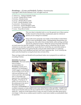 Cooter and Redbelly Turtles) - Darrell Senneke Copyright © 2003 World Chelonian Trust