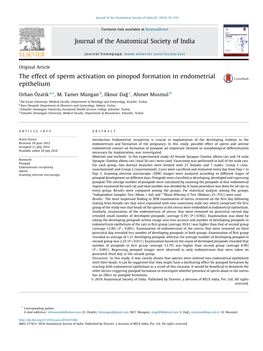 The Effect of Sperm Activation on Pinopod Formation in Endometrial Epithelium