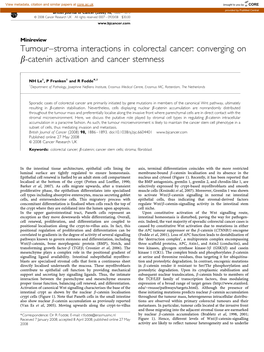 Converging on B-Catenin Activation and Cancer Stemness