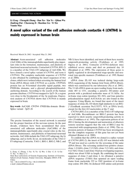 A Novel Splice Variant of the Cell Adhesion Molecule Contactin 4 (CNTN4) Is Mainly Expressed in Human Brain