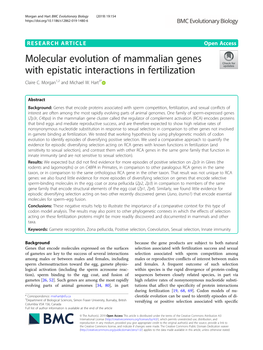 Molecular Evolution of Mammalian Genes with Epistatic Interactions in Fertilization Claire C