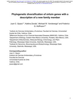 Phylogenetic Diversification of Sirtuin Genes with a Description of a New Family Member