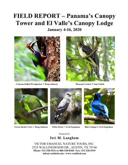 FIELD REPORT – Panama's Canopy