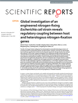 Global Investigation of an Engineered Nitrogen-Fixing Escherichia Coli