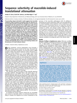 Sequence Selectivity of Macrolide-Induced Translational Attenuation