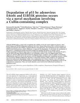 Degradation of P53 by Adenovirus E4orf6 and E1B55K Proteins Occurs Via a Novel Mechanism Involving a Cullin-Containing Complex