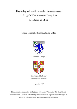 Physiological and Molecular Consequences of Large Y Chromosome Long Arm Deletions in Mice