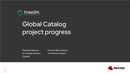 Global Catalog Project Progress