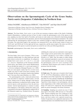 Observations on the Spermatogenic Cycle of the Grass Snake, Natrix Natrix (Serpentes: Colubridae) in Northern Iran