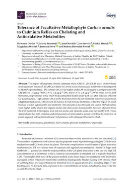 Tolerance of Facultative Metallophyte Carlina Acaulis to Cadmium Relies on Chelating and Antioxidative Metabolites