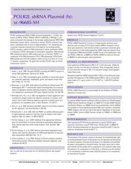 POLR2L Shrna Plasmid (H): Sc-96685-SH