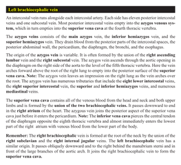 Left Brachiocephalic Vein an Intercostal Vein Runs Alongside Each Intercostal Artery
