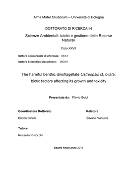 Facsimile Del Frontespizio Della Tesi Di Dottorato