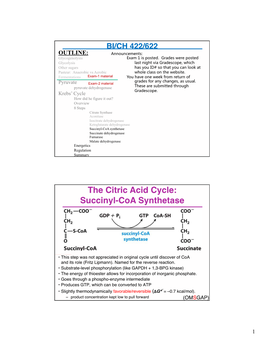 11 12 13 TCA Cycle Laptop