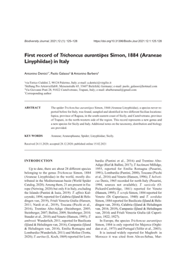 First Record of Trichoncus Aurantiipes Simon, 1884 (Araneae Linyphiidae) in Italy