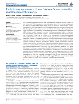 Evolutionary Appearance of Von Economo's Neurons in The