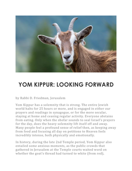 YOM KIPPUR: LOOKING FORWARD by Rabbi D