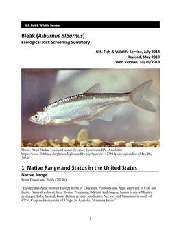 Alburnus Alburnus) Ecological Risk Screening Summary