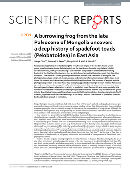 A Burrowing Frog from the Late Paleocene Of