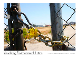 Visualizing Environmental Justice - Keiko Budech, Lilli Barrett-O’Keefe, Nickelle Raschick, Robert Little