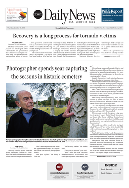 Photographer Spends Year Capturing the Seasons in Historic Cemetery