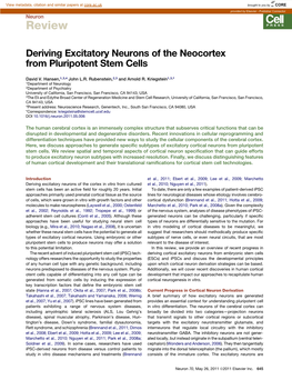 Deriving Excitatory Neurons of the Neocortex from Pluripotent Stem Cells