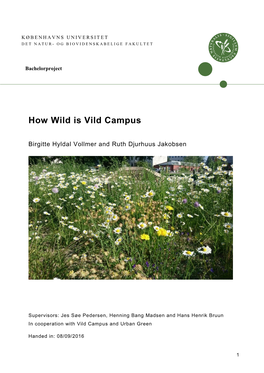 How Wild Is Vild Campus