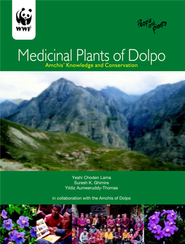 Medicinal Plants of Dolpo: Amchis’ Knowledge and Conservation