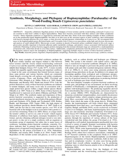 Symbiosis, Morphology, and Phylogeny of Hoplonymphidae (Parabasalia) of the Wood-Feeding Roach Cryptocercus Punctulatus